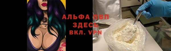 прущие крисы Балахна