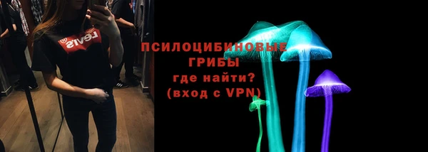 прущие крисы Балахна