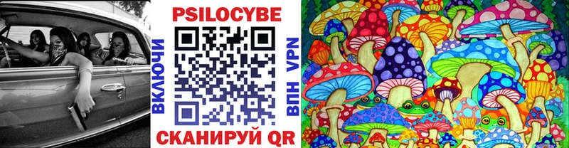 Купить  Покров  Псилоцибиновые грибы MAGIC MUSHROOMS 