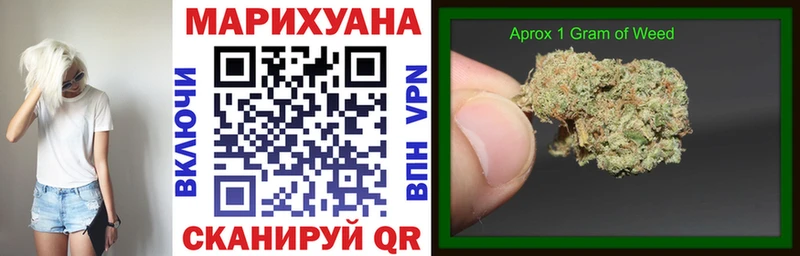 Конопля Bruce Banner  Купить где  Покров 